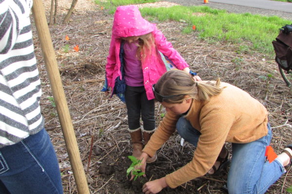Student is learning to plant near Bear Creek.