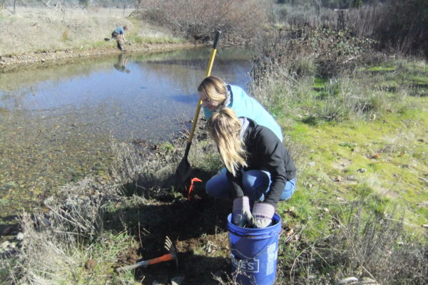 Illinois Valley students planting native species at Thompson Cr.