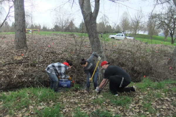 Rogue Community College earn community service credit by working on Bear Creek.