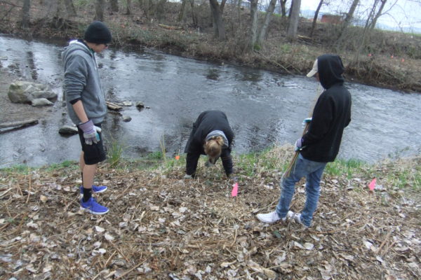South Medford students planted native species at where Lazy Creek enters Bear Creek.