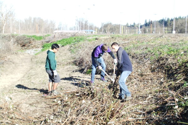 Medford students clearing brush on Bear Creek.